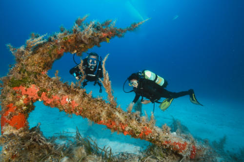 Anchor In Cirkewwa Reef